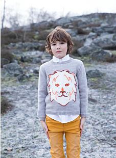 Sweater with a lion's head