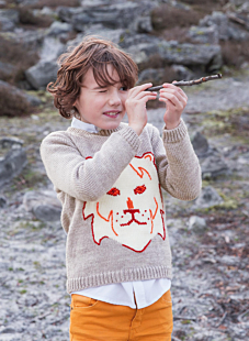 Sweater with a lion's head