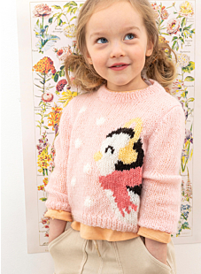 Intarsia bird sweater