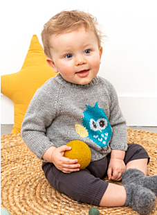 Intarsia owl sweater