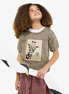 Short sleeve sweater