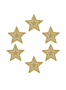 Pack of  6 gold star badges Ø20 mm
